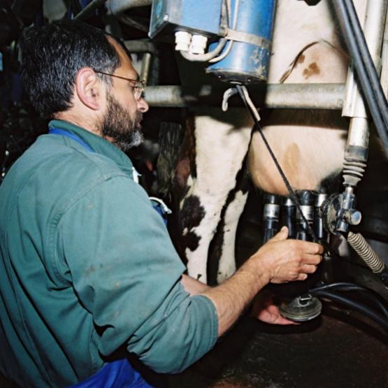 Le CFPPA de la Meuse lance une formation pour devenir agent d’élevage laitier. crédit photo : Stéphane Grossin, ANEFA.