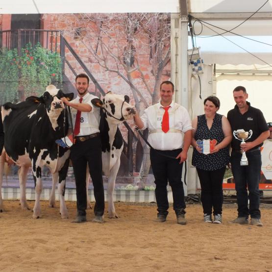 L’élevage de l’Espérance à Manheulles a remporté la plupart des prix du concours Prim’Holstein.
