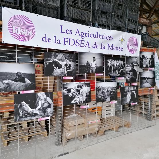 Les visiteurs du marché ont pu découvrir une douzaine de photos d’agricultrices.