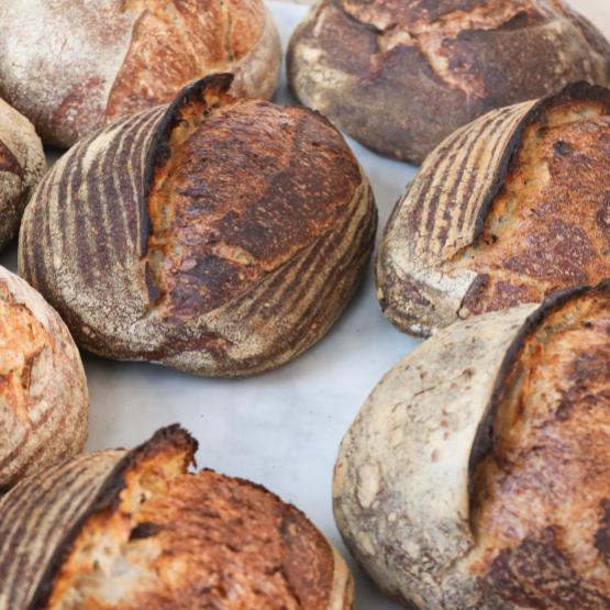 Guillaume Vauthier présentera  ses pains paysans bio cuits  dans un four à bois.