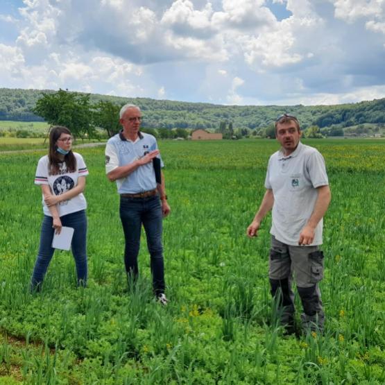 Les candidats au titre de Technicien agricole se sont rendus dans les champs avec Julien Marchand (à d.). Photo : DR.