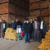 La délégation s’est intéressée à la culture de la pomme de terre, également pratiquée au Rwanda. Photo : A.HUMBERTCLAUDE