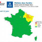 Lundi 12 juin, le département était placé en vigilance sur la carte de Météo forêt.