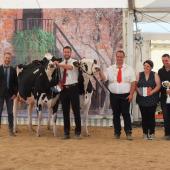 L’élevage de l’Espérance à Manheulles a remporté la plupart des prix du concours Prim’Holstein.