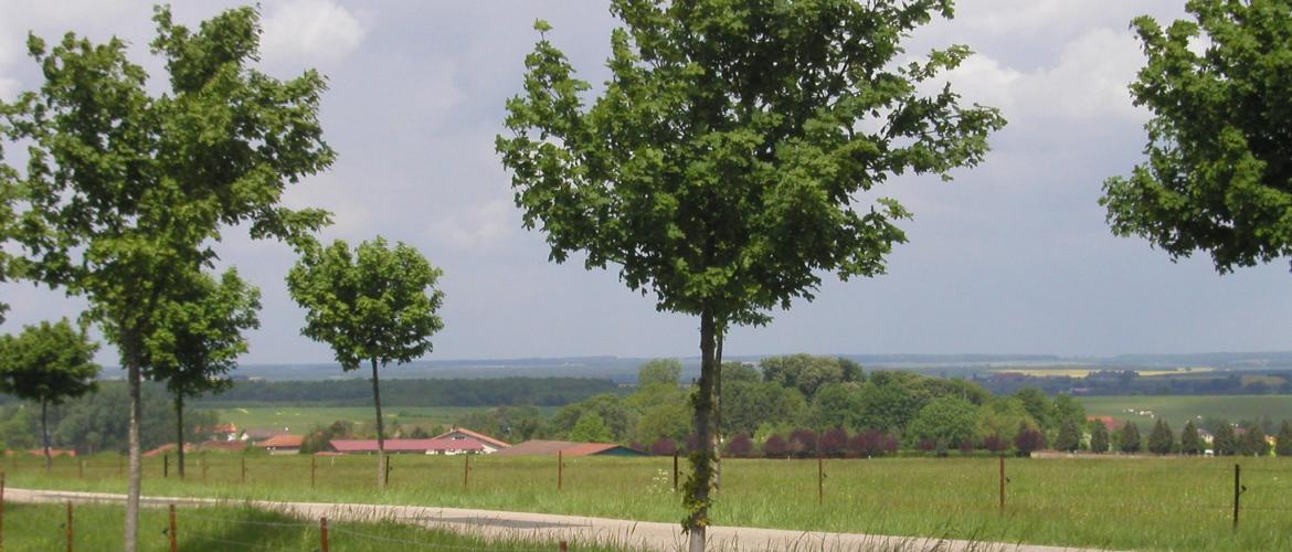 Un contraste entre les Vosges et le sud Haute-Marne (moins de 4.000 €/ha) et la Marne, l’ouest de l’Aube, le sud des Ardennes et le Bas-Rhin, où le tarif va jusqu’à dépasser 8.500 €/ha. Un contraste entre les Vosges et le sud Haute-Marne (moins de 4.000 €/ha) et la Marne, l’ouest de l’Aube, le sud des Ardennes et le Bas-Rhin, où le tarif va jusqu’à dépasser 8.500 €/ha.