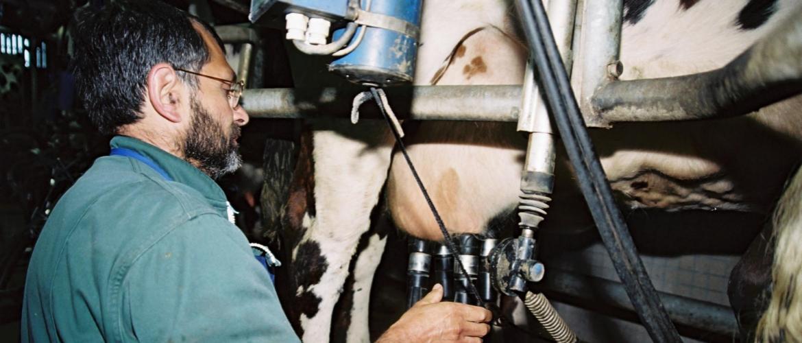 Le CFPPA de la Meuse lance une formation pour devenir agent d’élevage laitier. crédit photo : Stéphane Grossin, ANEFA.