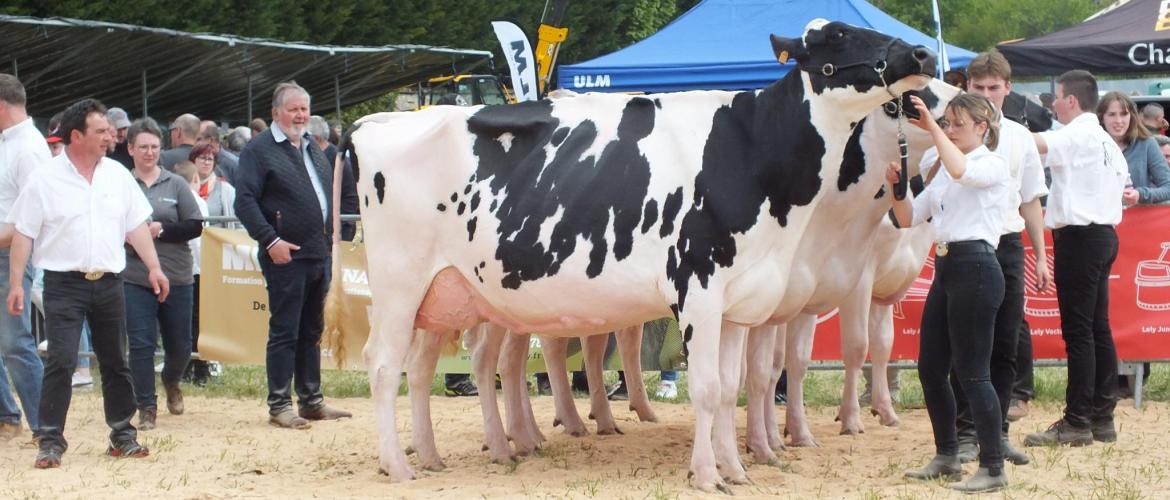 Le Gaec Missouri à Montzéville remporte le prix d’élevage, le championnat vaches adultes avec Lux Nikea (au premier plan)  et le championnat jeune. Photo A. H.