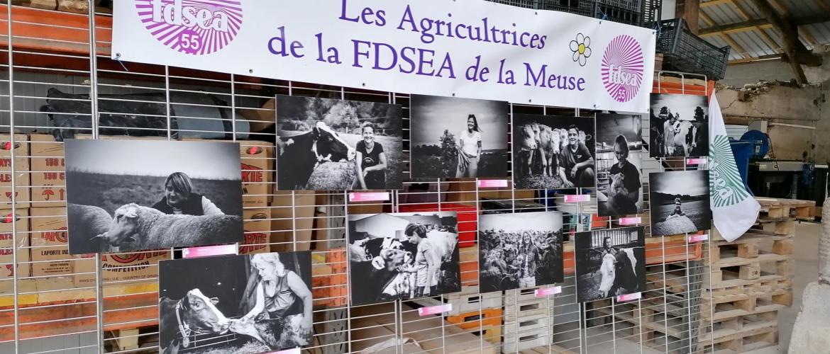 Les visiteurs du marché ont pu découvrir une douzaine de photos d’agricultrices.