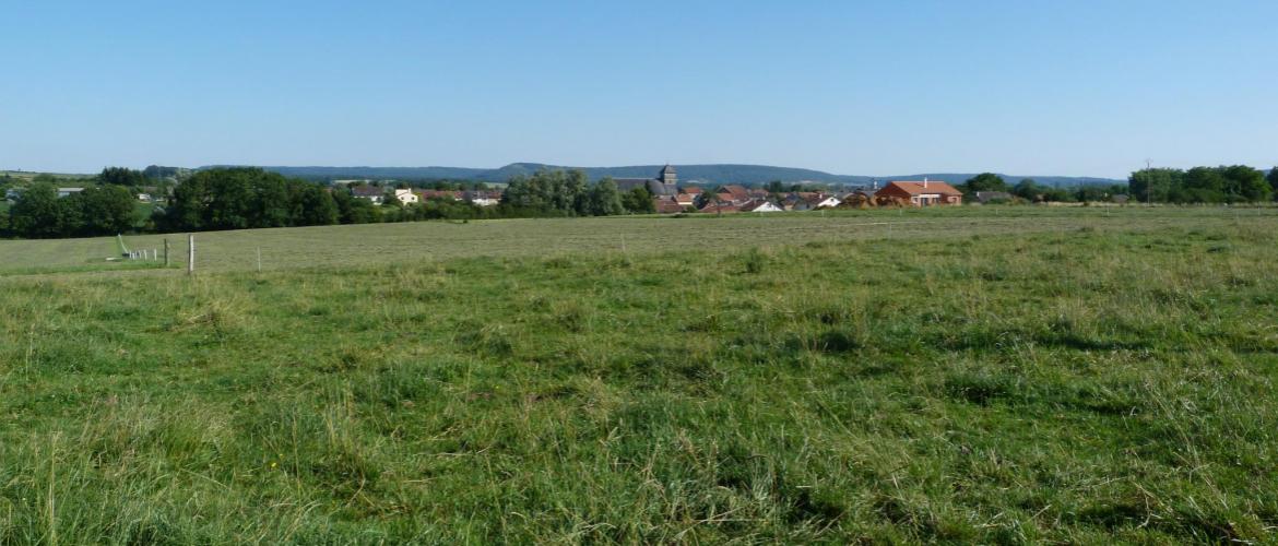 1/5 des terres agricoles pourrait changer de main d’ici cinq ans. Photo : DR.